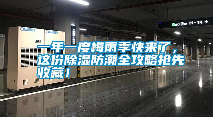 一年一度梅雨季快來了，這份除濕防潮全攻略搶先收藏！