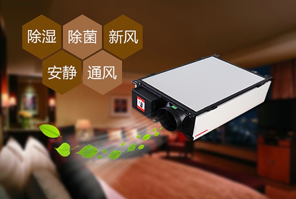 為什么冷庫除濕機(jī)會出現(xiàn)結(jié)霜的情況?