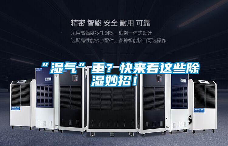 “濕氣”重？快來看這些除濕妙招！