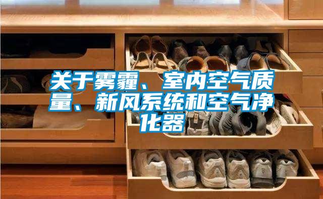 關于霧霾、室內空氣質量、新風系統和空氣凈化器