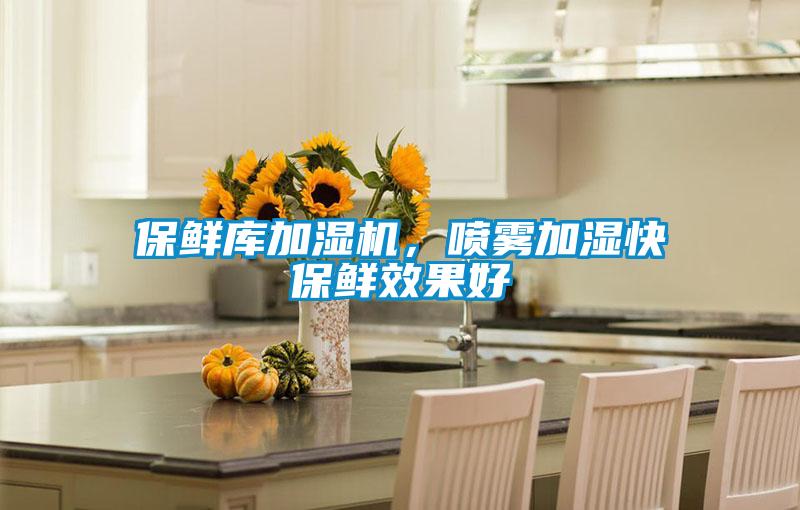 保鮮庫(kù)加濕機(jī)，噴霧加濕快保鮮效果好