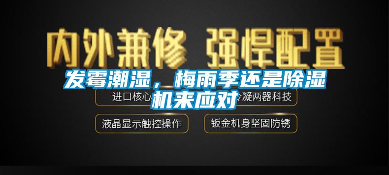 發(fā)霉潮濕，梅雨季還是除濕機來應(yīng)對