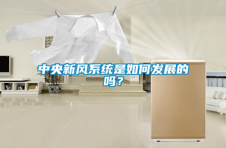 中央新風系統(tǒng)是如何發(fā)展的嗎？