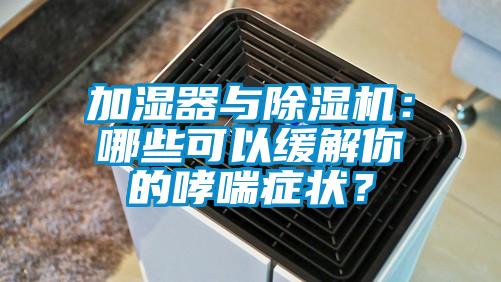 加濕器與除濕機：哪些可以緩解你的哮喘癥狀？