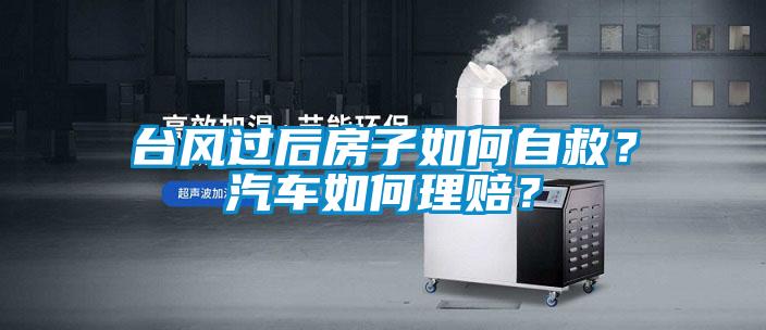 臺風過后房子如何自救？汽車如何理賠？