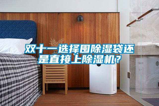 雙十一選擇囤除濕袋還是直接上除濕機？