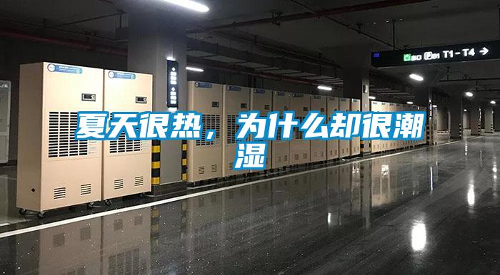 夏天很熱，為什么卻很潮濕