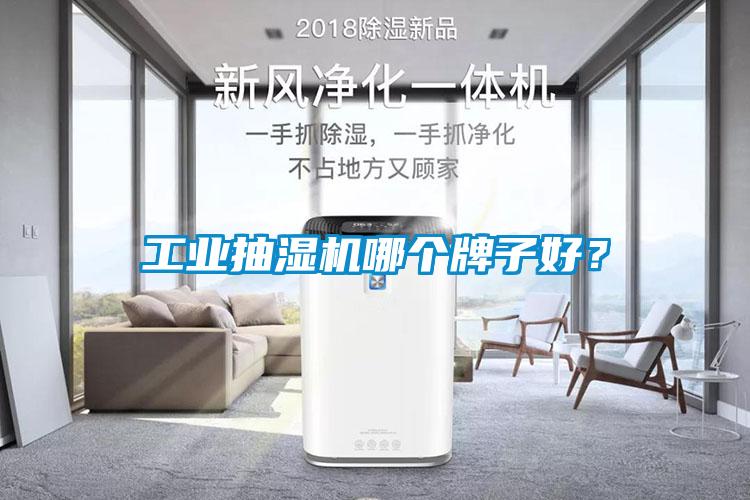 工業(yè)抽濕機哪個牌子好？