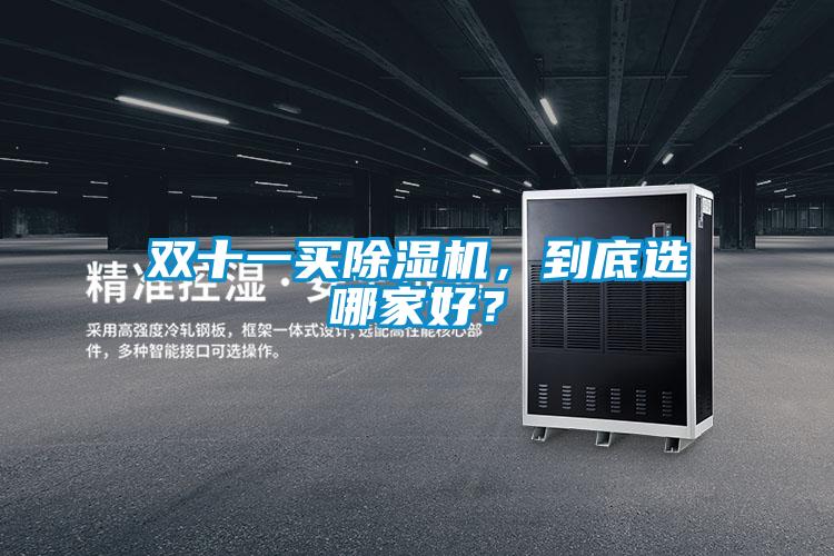 雙十一買除濕機(jī),到底選哪家好?