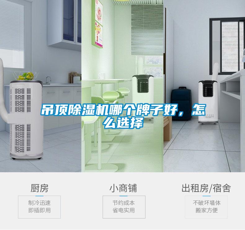 吊頂除濕機哪個牌子好，怎么選擇