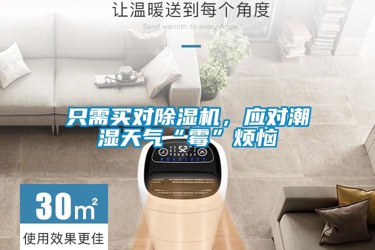 只需買對(duì)除濕機(jī)，應(yīng)對(duì)潮濕天氣“霉”煩惱