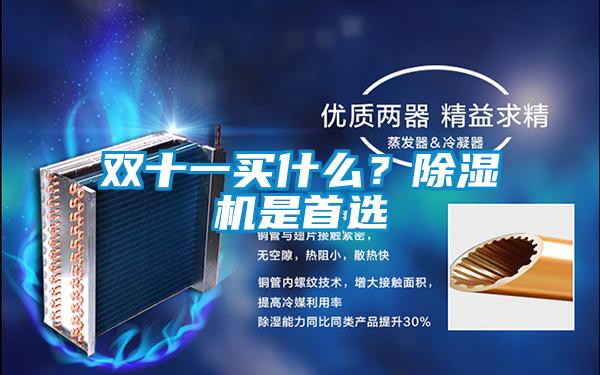 雙十一買什么？除濕機是首選