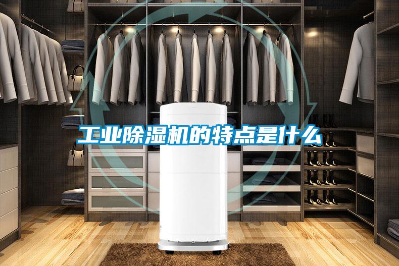 工業除濕機的特點是什么