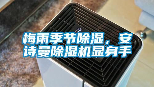 梅雨季節(jié)除濕,安詩曼除濕機(jī)顯身手