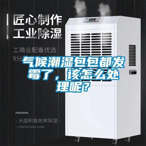 氣候潮濕包包都發霉了,該怎么處理呢?