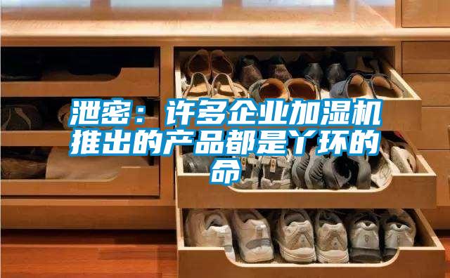 泄密：許多企業(yè)加濕機推出的產品都是丫環(huán)的命