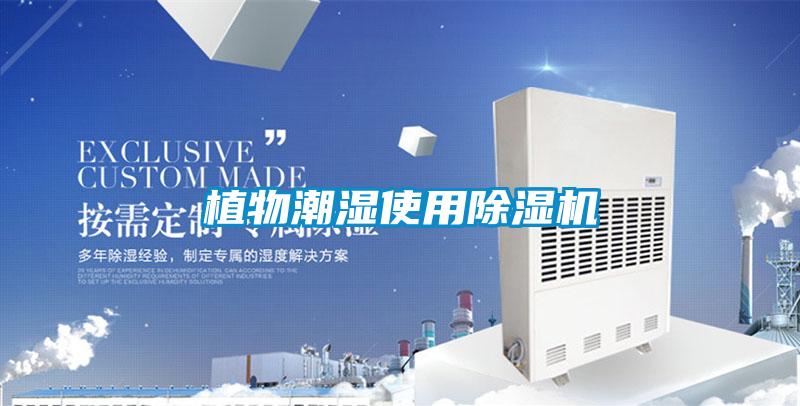 植物潮濕使用除濕機