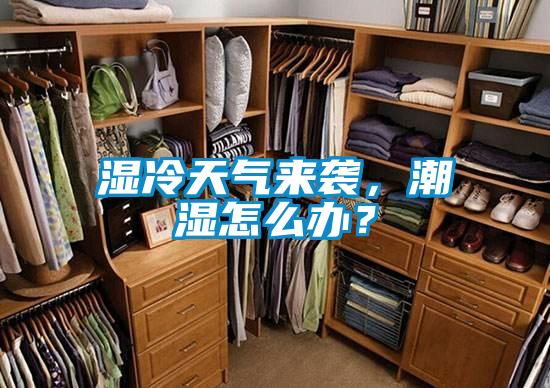 濕冷天氣來(lái)襲，潮濕怎么辦？