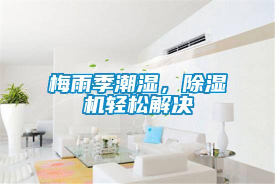 梅雨季潮濕,除濕機輕松解決