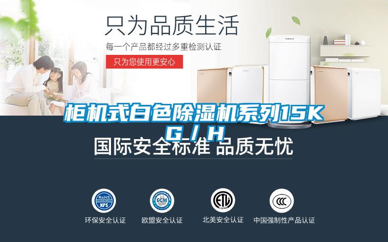 柜機式白色除濕機系列15KG/H
