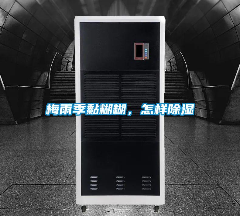 梅雨季黏糊糊,怎樣除濕