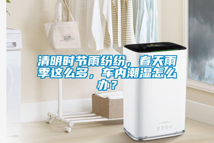 清明時節(jié)雨紛紛,春天雨季這么多,車內(nèi)潮濕怎么辦?