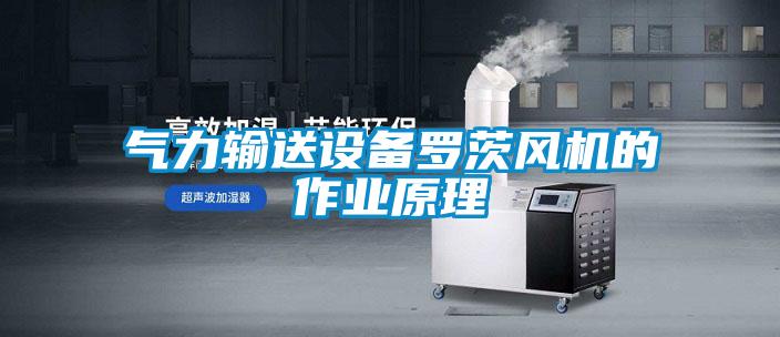 氣力輸送設(shè)備羅茨風機的作業(yè)原理