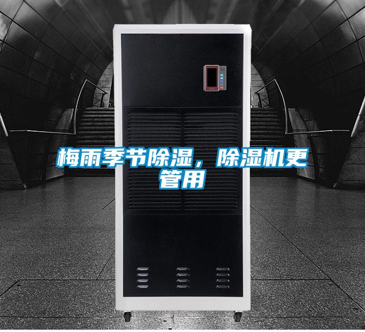 梅雨季節(jié)除濕,除濕機更管用