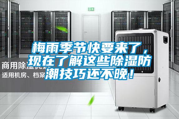 梅雨季節快要來了，現在了解這些除濕防潮技巧還不晚！