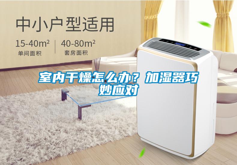 室內(nèi)干燥怎么辦?加濕器巧妙應(yīng)對