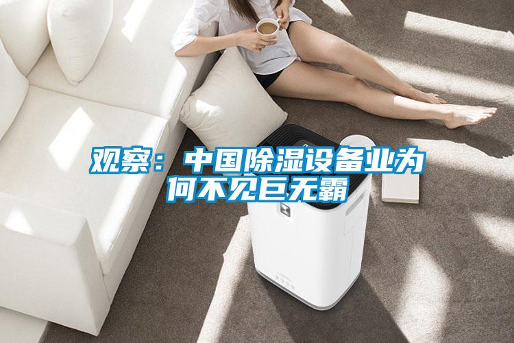 觀察：中國除濕設備業為何不見巨無霸