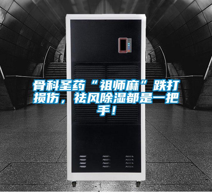 骨科圣藥“祖師麻”跌打損傷，祛風(fēng)除濕都是一把手！