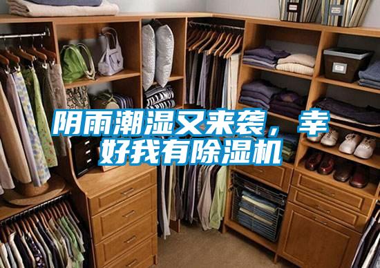 陰雨潮濕又來襲，幸好我有除濕機(jī)