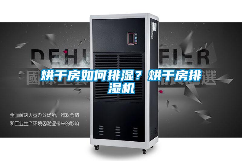烘干房如何排濕?烘干房排濕機