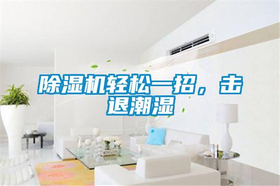除濕機(jī)輕松一招，擊退潮濕