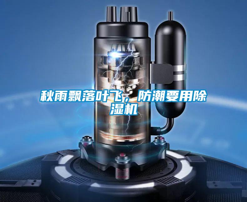 秋雨飄落葉飛，防潮要用除濕機(jī)
