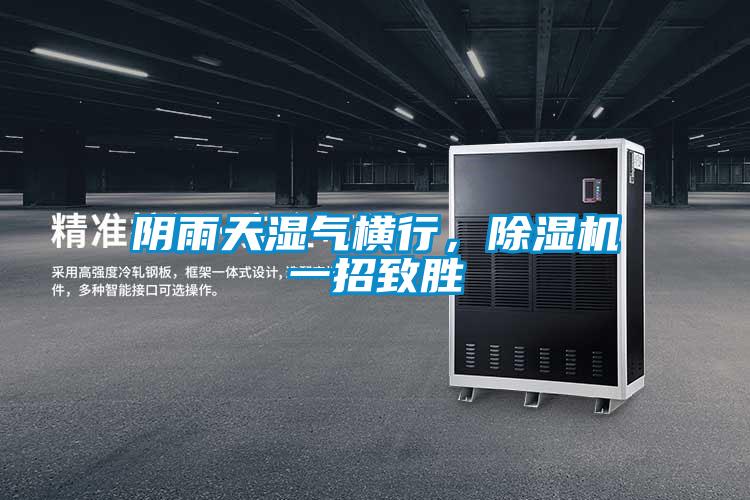 陰雨天濕氣橫行,除濕機(jī)一招致勝