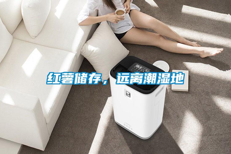 紅薯儲存,遠(yuǎn)離潮濕地