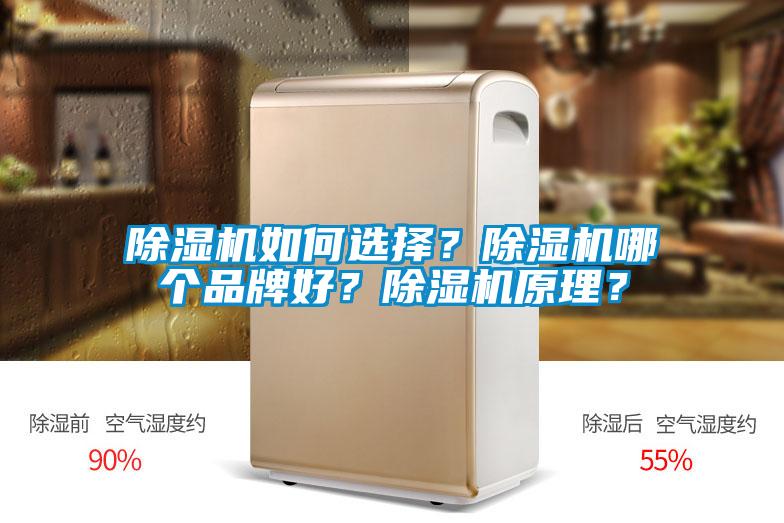 除濕機如何選擇？除濕機哪個品牌好？除濕機原理？