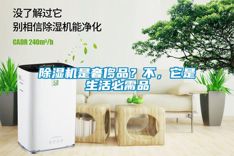 除濕機是奢侈品？不，它是生活必需品
