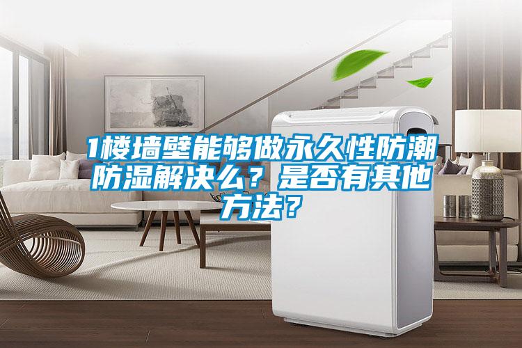 1樓墻壁能夠做永久性防潮防濕解決么？是否有其他方法？