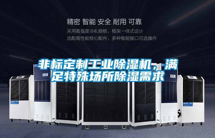 非標定制工業除濕機，滿足特殊場所除濕需求