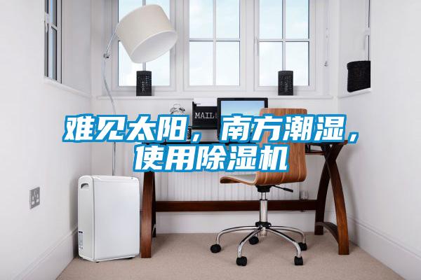難見太陽，南方潮濕，使用除濕機(jī)