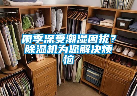 雨季深受潮濕困擾？除濕機為您解決煩惱