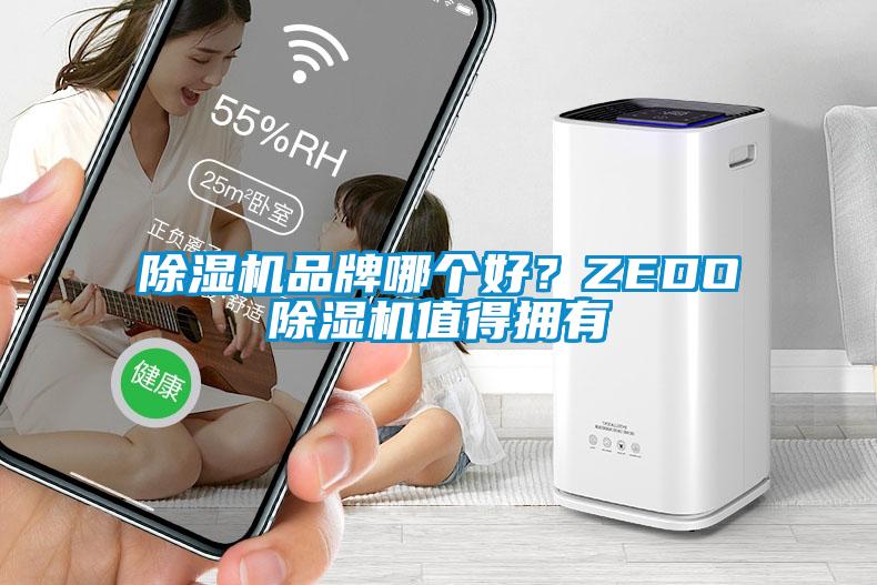 除濕機(jī)品牌哪個(gè)好？ZEDO除濕機(jī)值得擁有