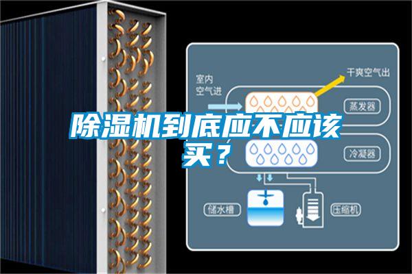 除濕機(jī)到底應(yīng)不應(yīng)該買？