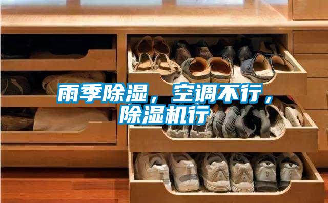 雨季除濕,空調不行,除濕機行