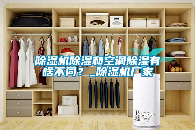 除濕機(jī)除濕和空調(diào)除濕有啥不同?_除濕機(jī)廠家