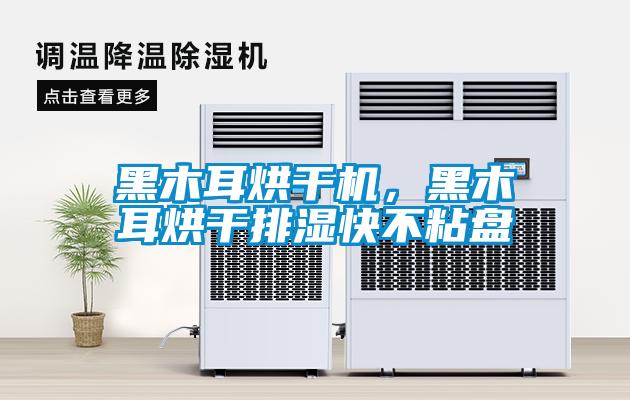 黑木耳烘干機，黑木耳烘干排濕快不粘盤
