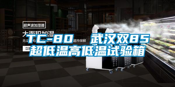 TC-80 武漢雙85超低溫高低溫試驗箱